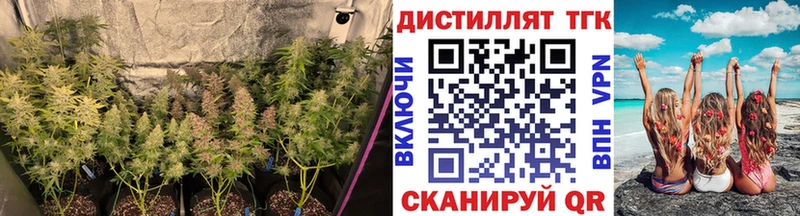 OMG рабочий сайт  наркошоп  Новотитаровская  ТГК THC oil 