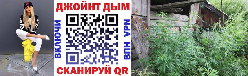 Канабис Amnesia  MEGA   darknet официальный сайт  Новотитаровская 